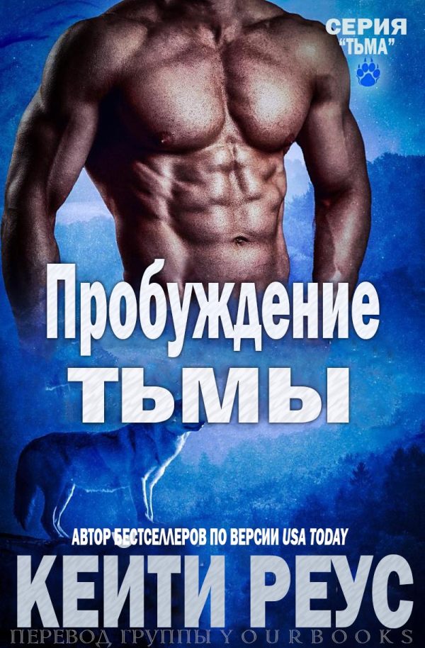 Обложка книги «Пробуждение тьмы»