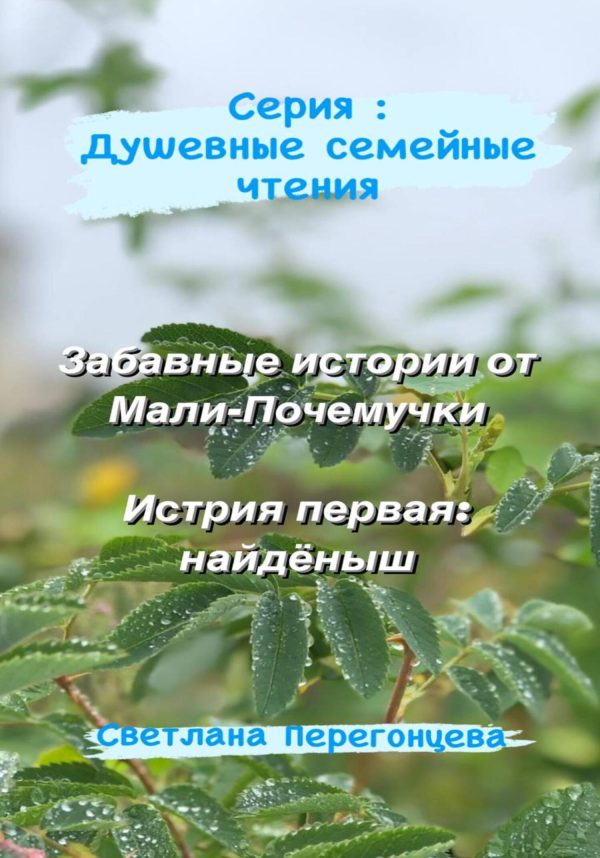 Обложка книги «Серия: Душевные семейные чтения. Забавные истории от Мали-Почемучки. История первая: найдёныш»