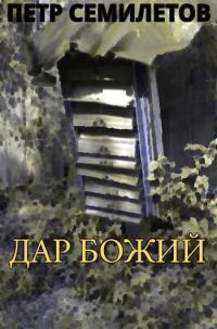 Обложка книги «Дар Божий»