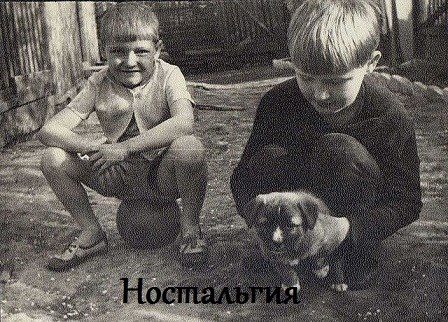 Обложка книги «Ностальгия»