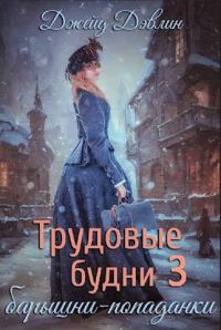 Обложка книги «Трудовые будни барышни-попаданки 3»