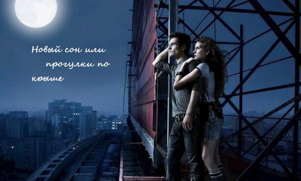 Обложка книги «Новый сон или прогулки по крыше»