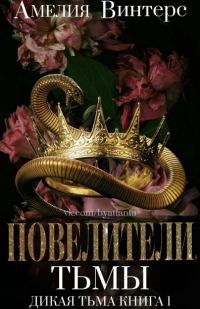 Обложка книги «Повелители тьмы»