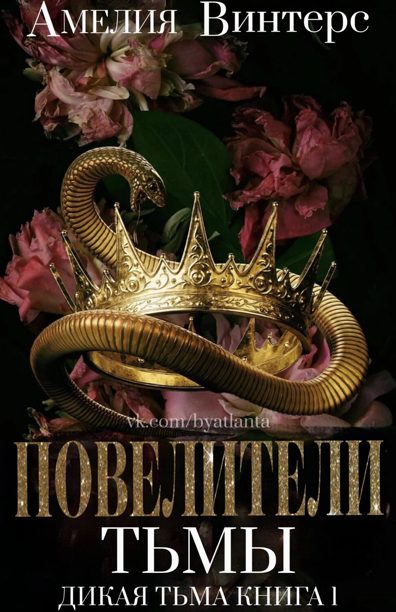 Обложка книги «Повелители тьмы»
