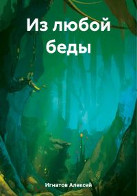 Обложка книги «Из любой беды»