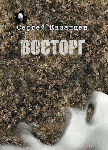 Обложка книги «Восторг»