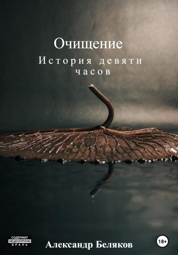 Обложка книги «Очищение»