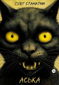 Обложка книги «Аська»
