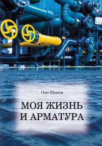 Обложка книги «Моя жизнь и арматура»