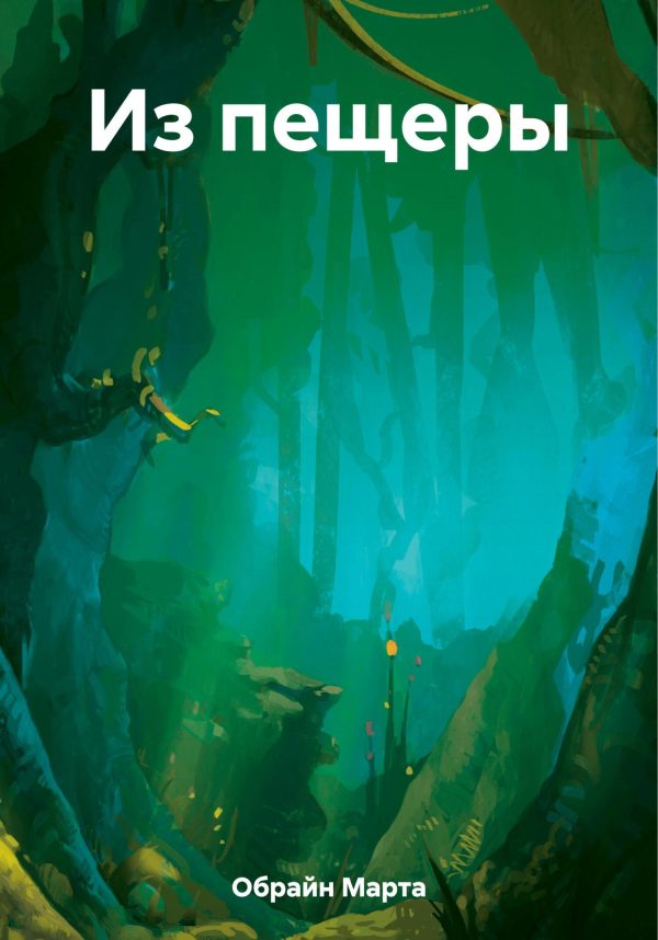Обложка книги «Из пещеры»