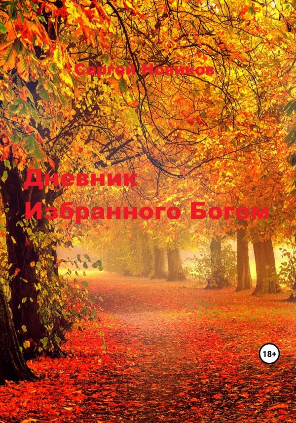 Обложка книги «Дневник Избранного Богом»