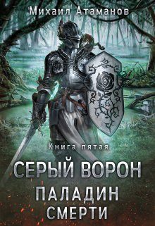 Обложка книги «Паладин Смерти»