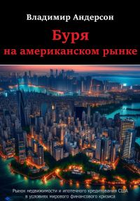 Обложка книги «Буря на американском рынке»