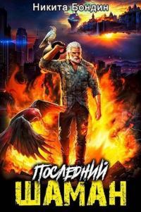 Обложка книги «Последний Шаман»