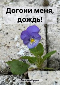 Обложка книги «Догони меня, дождь!»