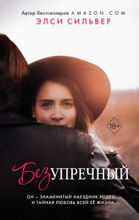 Обложка книги «Безупречный»