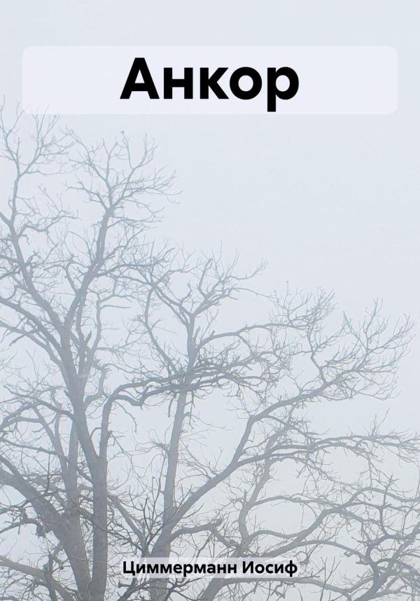 Обложка книги «Анкор»