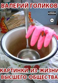Обложка книги «Картинки из жизни высшего общества»