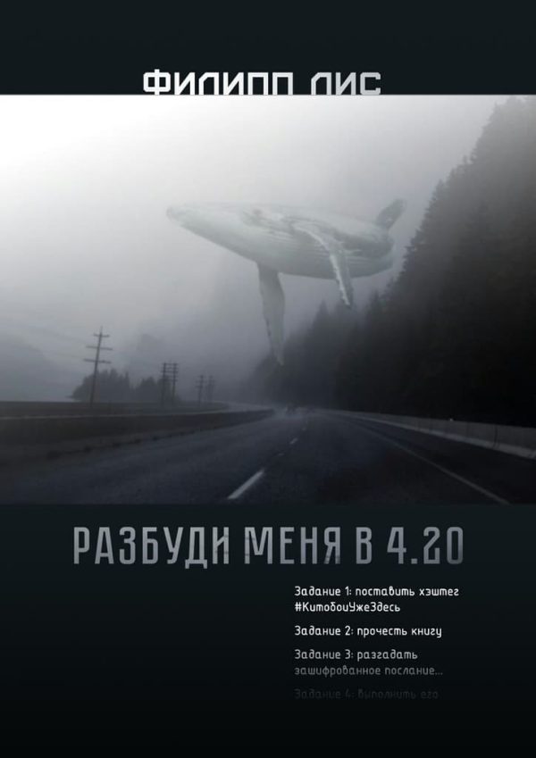 Обложка книги «Разбуди меня в 4.20»