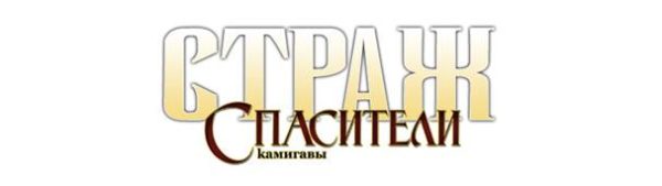 Обложка книги «Страж: Спасители Камигавы»