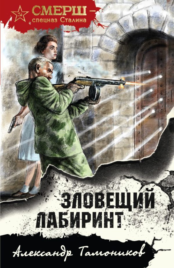Обложка книги «Зловещий лабиринт»