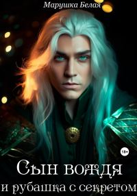 Обложка книги «Сын вождя и рубашка с секретом»