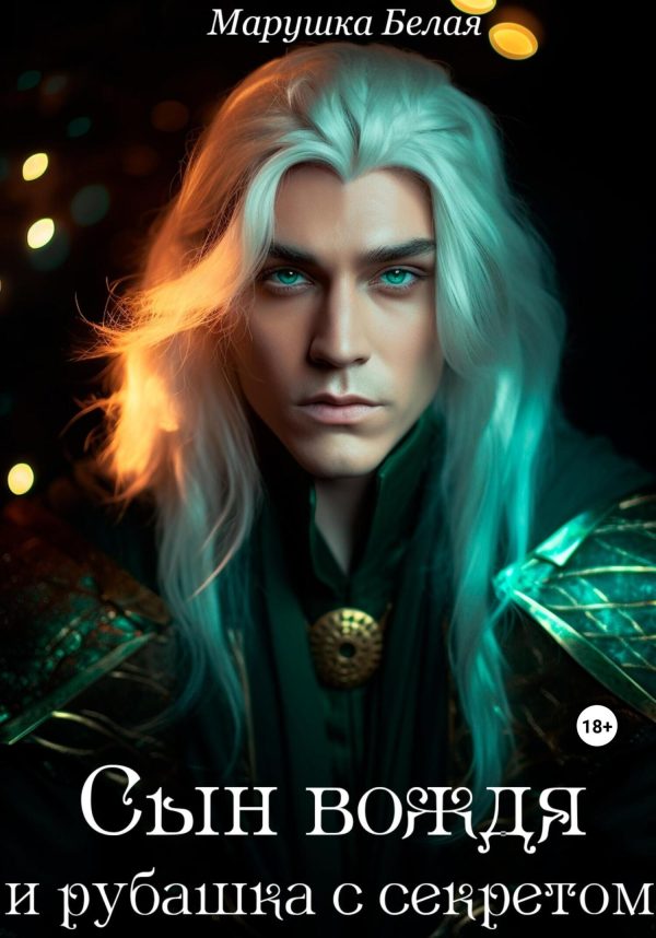 Обложка книги «Сын вождя и рубашка с секретом»