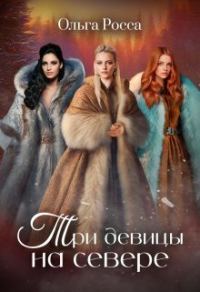 Обложка книги «Три девицы на севере»