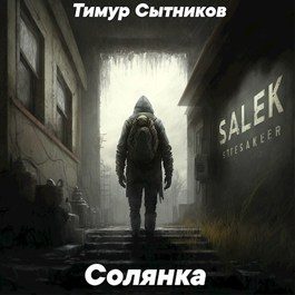Обложка книги «Солянка»