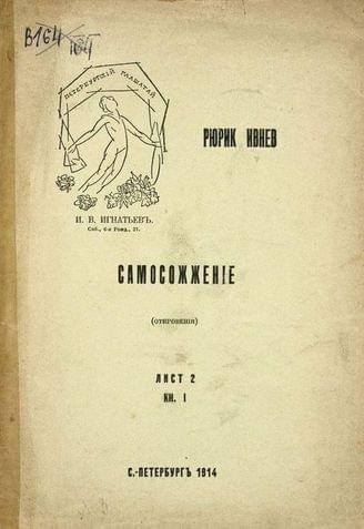 Обложка книги «Самосожжение»
