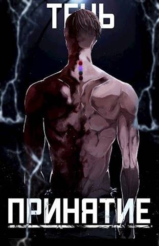 Обложка книги «Тень. Принятие»