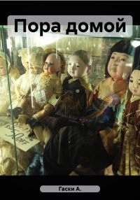 Обложка книги «Пора домой»