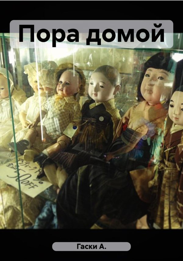 Обложка книги «Пора домой»