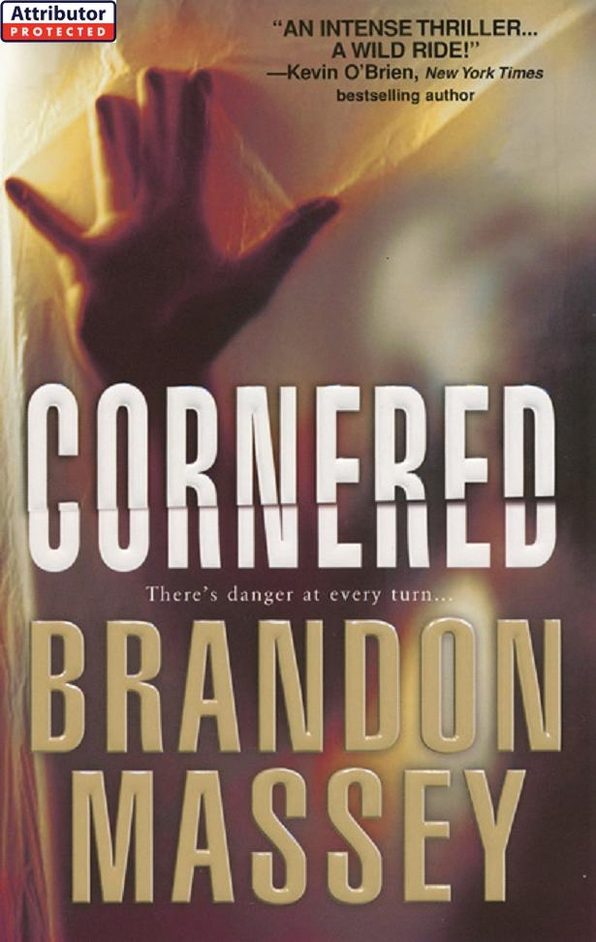 Обложка книги «Cornered»