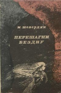 Обложка книги «Перешагни бездну»