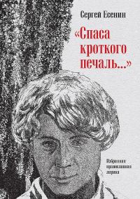 Обложка книги ««Спаса кроткого печаль…». Избранная православная лирика»