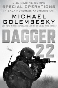 Обложка книги «Кинжал-22»