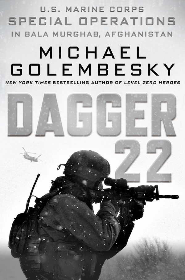 Обложка книги «Кинжал-22»