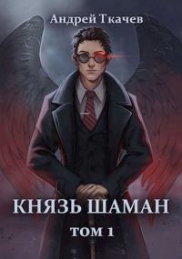 Обложка книги «Князь шаман. Том 1»