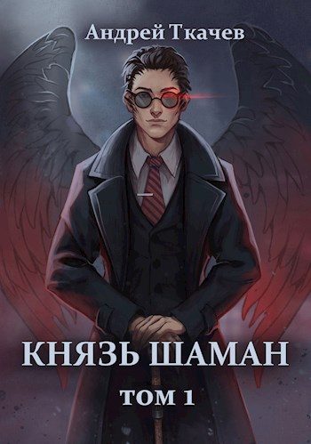 Обложка книги «Князь шаман. Том 1»