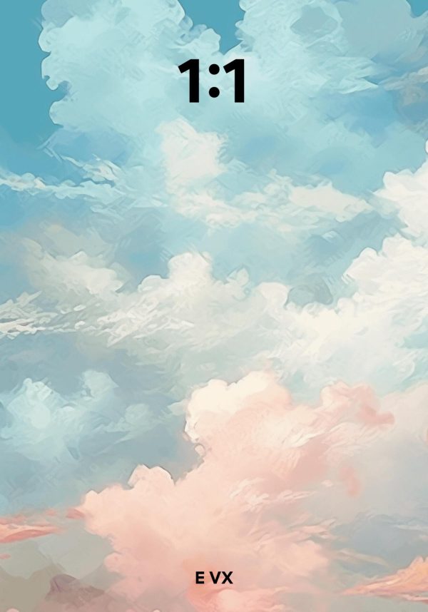 Обложка книги «1:1»