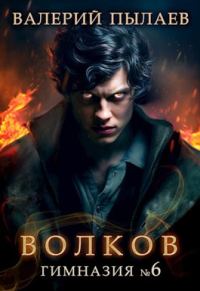 Обложка книги «Гимназия №6»