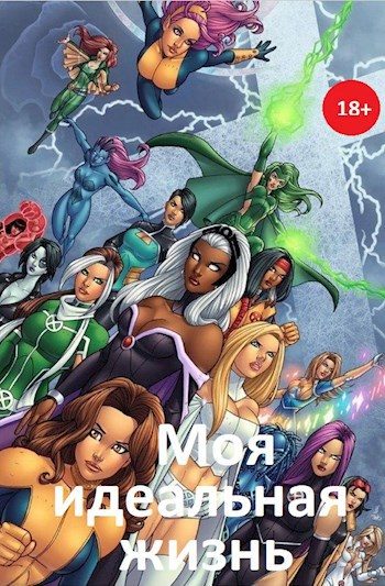 Обложка книги «Моя идеальная жизнь»