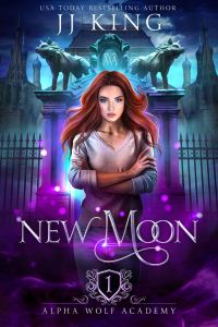 Обложка книги «New Moon»