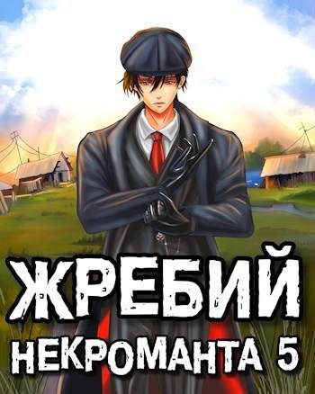 Обложка книги «Жребий некроманта #5»