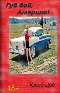 Обложка книги «Гуд бай, Америка!»