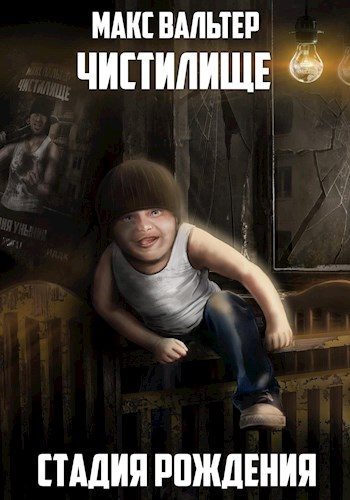 Обложка книги «Стадия Рождения»