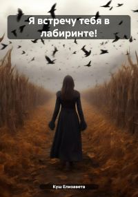 Обложка книги «Я встречу тебя в лабиринте!»