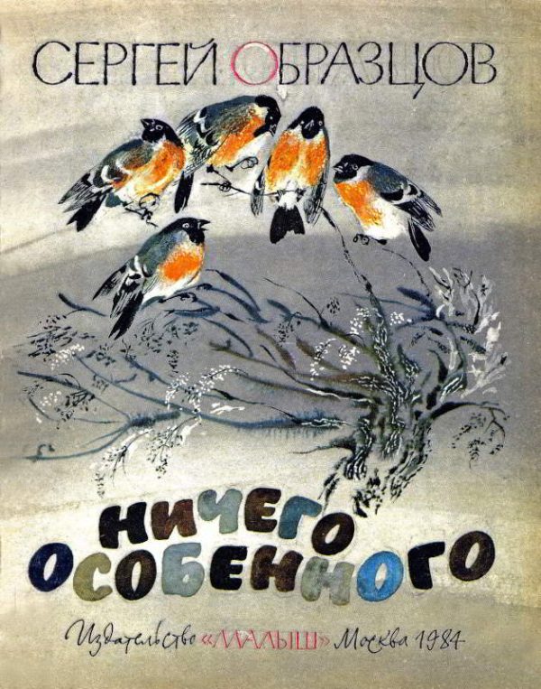 Обложка книги «Ничего особенного»