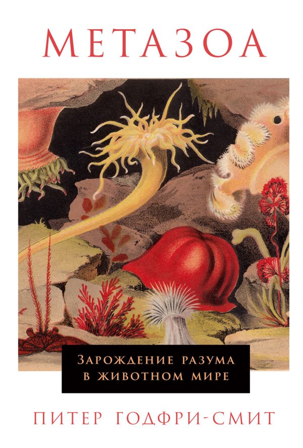 Обложка книги «Метазоа. Зарождение разума в животном мире»